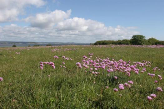 Bruksanalyse Jomfruland nasjonalpark