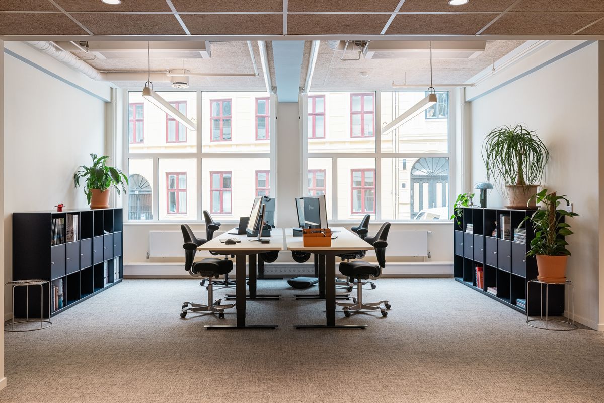 Sektorstyret - Standard Norge - BAE