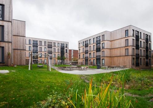 82 familieboliger Kringsjå studentby, Oslo (Foto: Tove Lauluten)