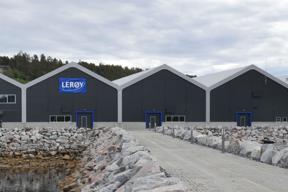 Øystein Thommesen AS