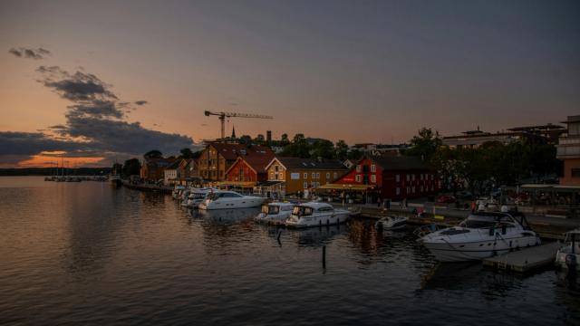 Markedsdager Vestfold fylkeskommune
