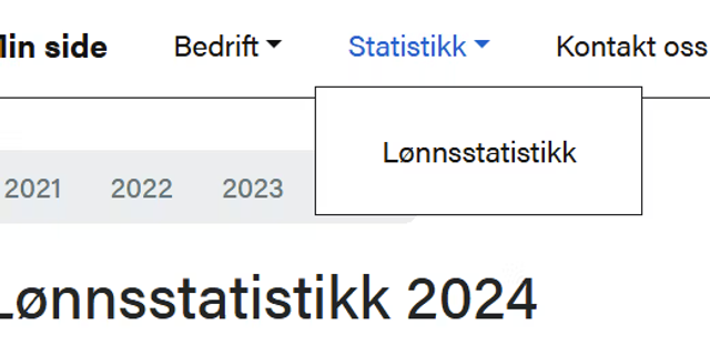 Lønnsstatistikken 2024