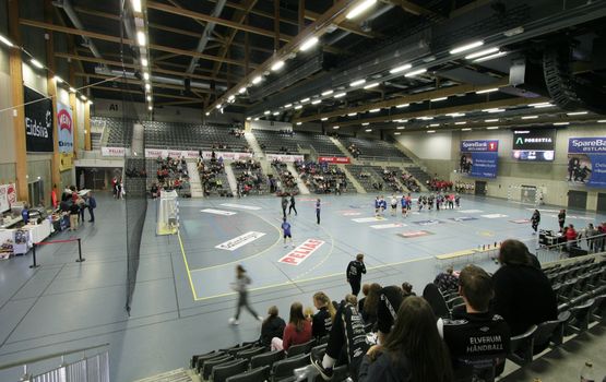 Terningen Arena, Flerbruksanlegg Elverum