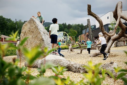 Risenga naturlekeplass i Asker. Foto Anna-Julia Granberg
