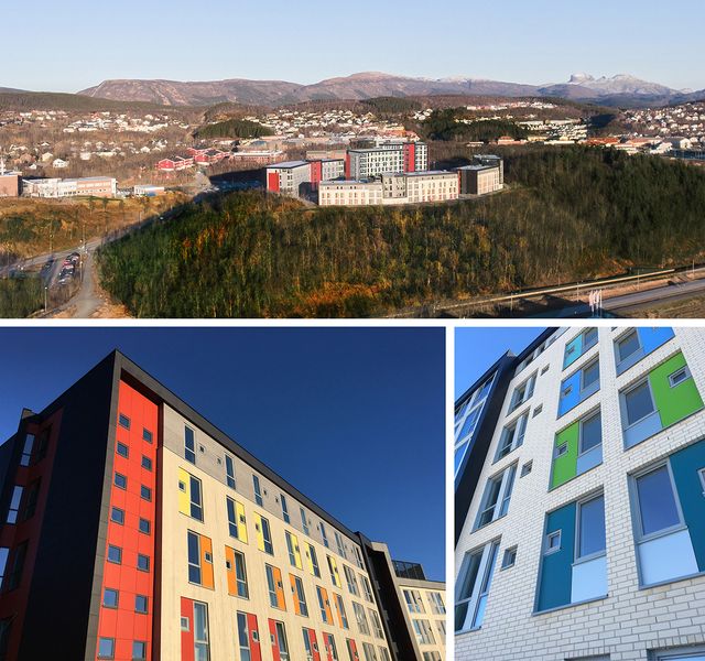 Norconsult Norge AS