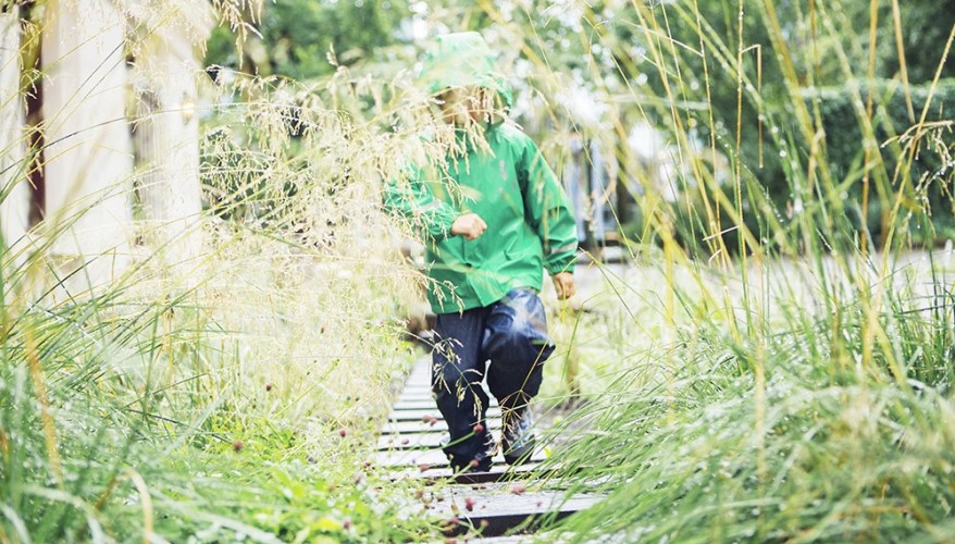 Deichmansgate i Oslo. Her har blågrønne virkemidler skapt verdi for beboere og besøkende. Foto: Åse Holte