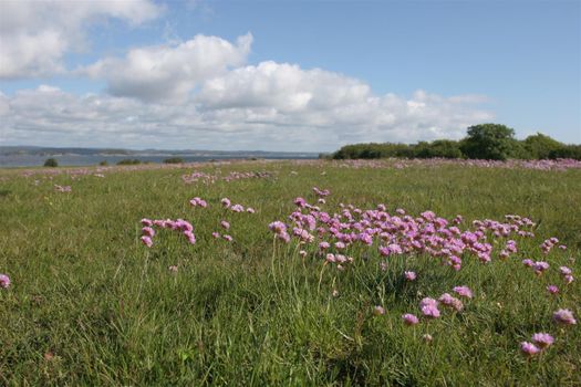 Bruksanalyse Jomfruland nasjonalpark