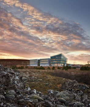 Islands institutt for naturhistorie