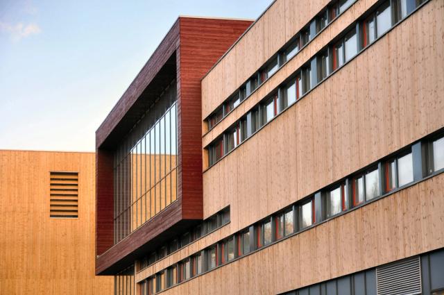 ARKITEKTGRUPPEN lille frøen AS