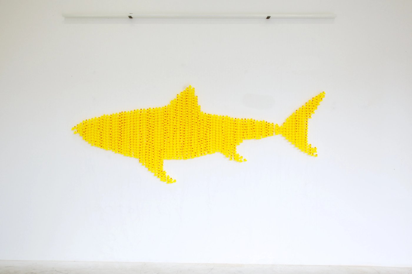 The Great Yellow, shown to scale on a gallery wall