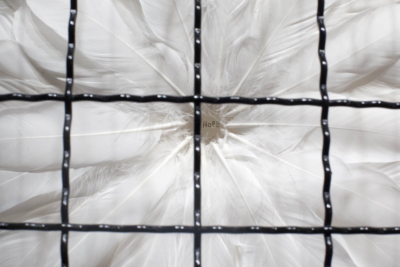 Hope, detail 4