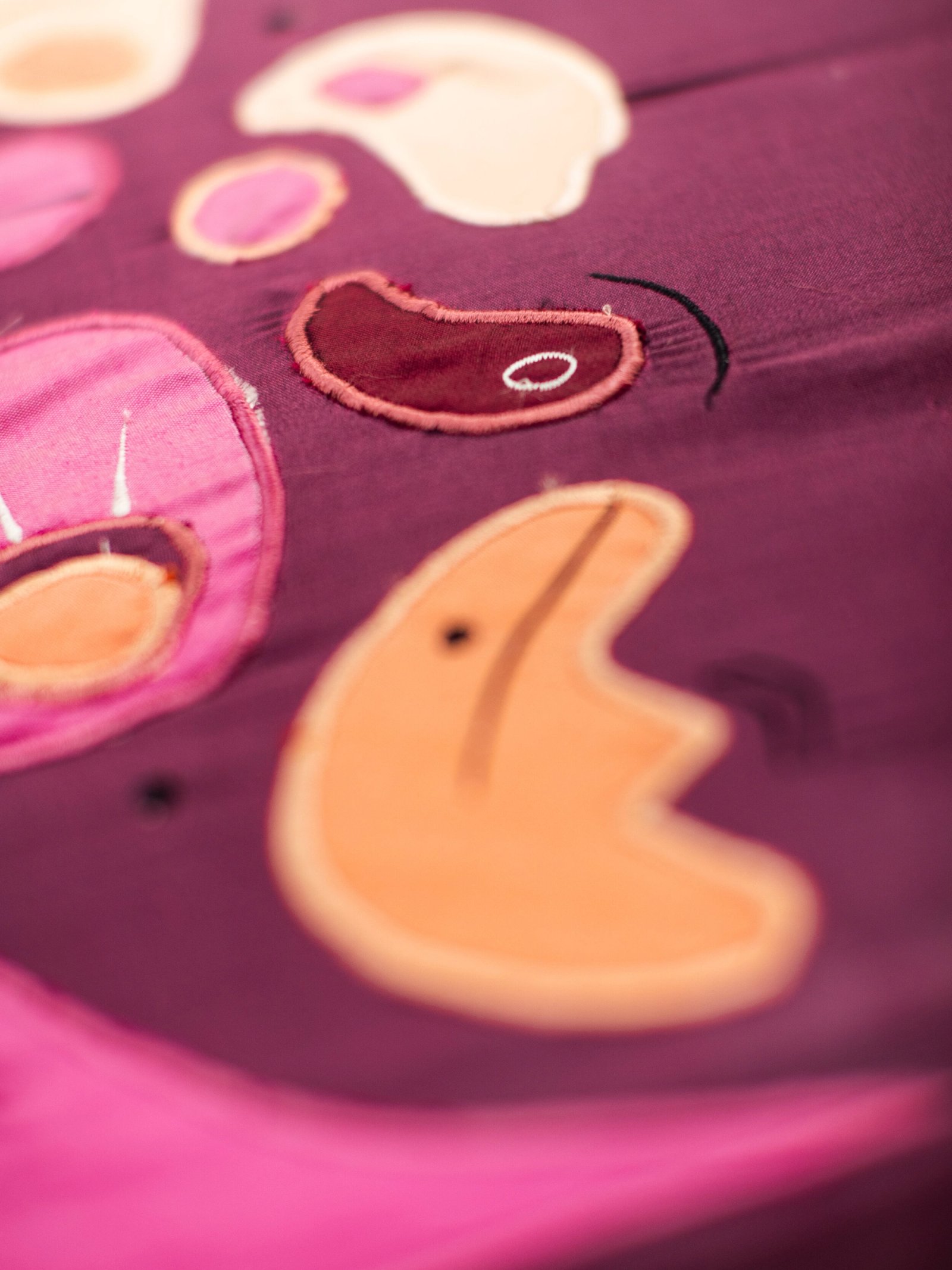 A Gay Meteoroids Cruising Options, detail 11