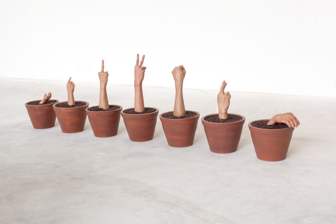 Handy Evolution, shown to scale on a gallery wall