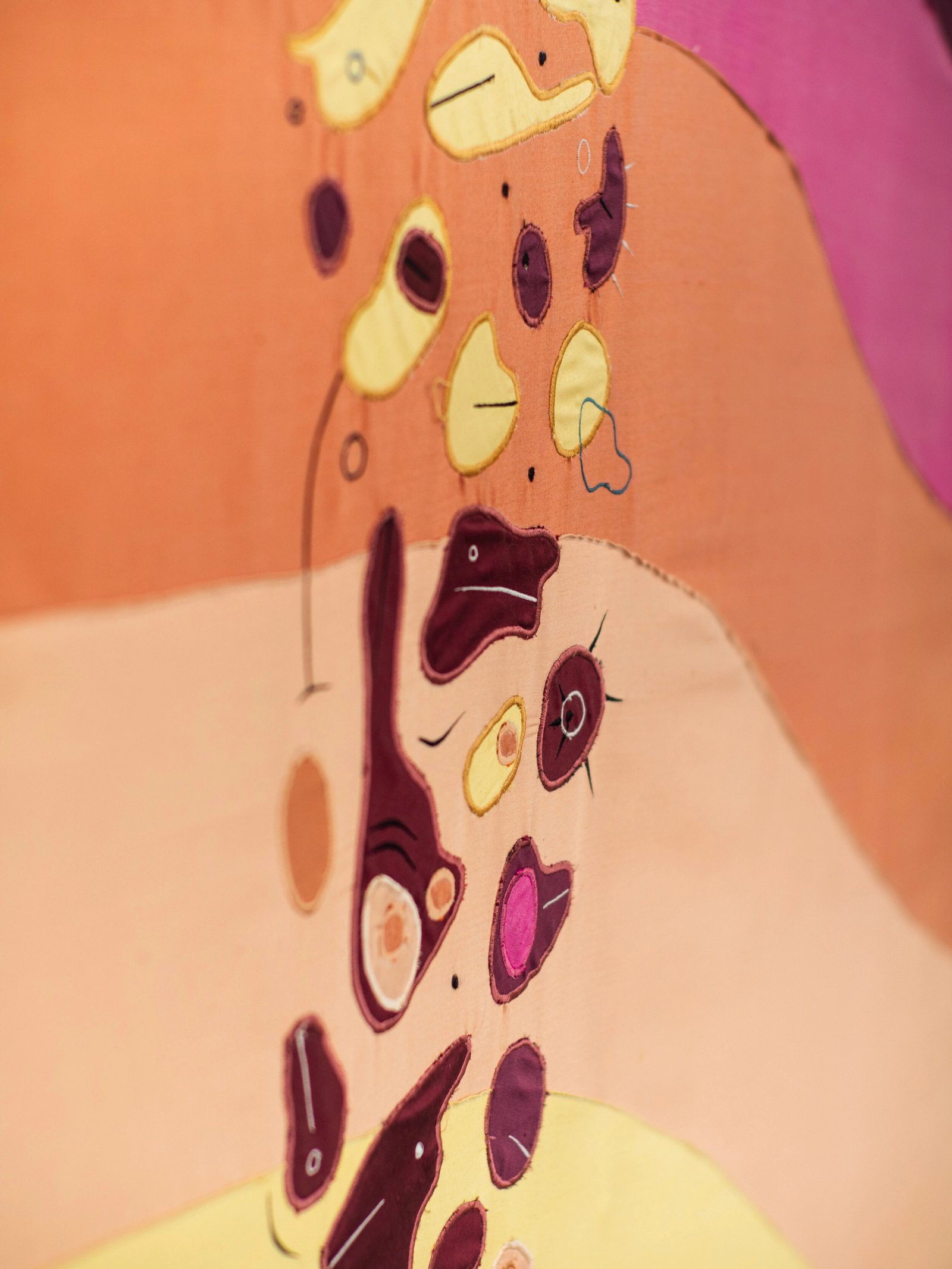 A Gay Meteoroids Cruising Options, detail 9