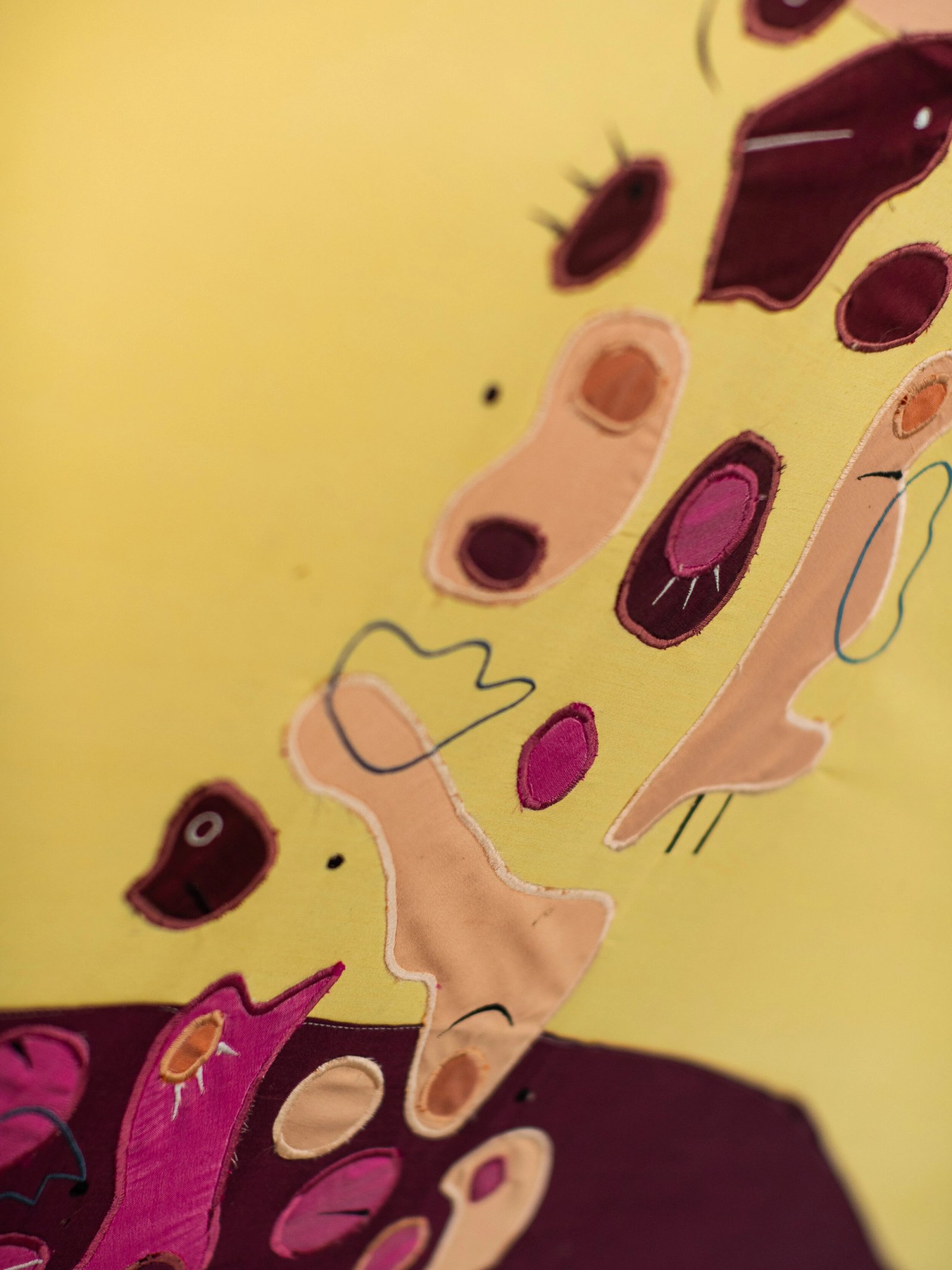 A Gay Meteoroids Cruising Options, detail 8