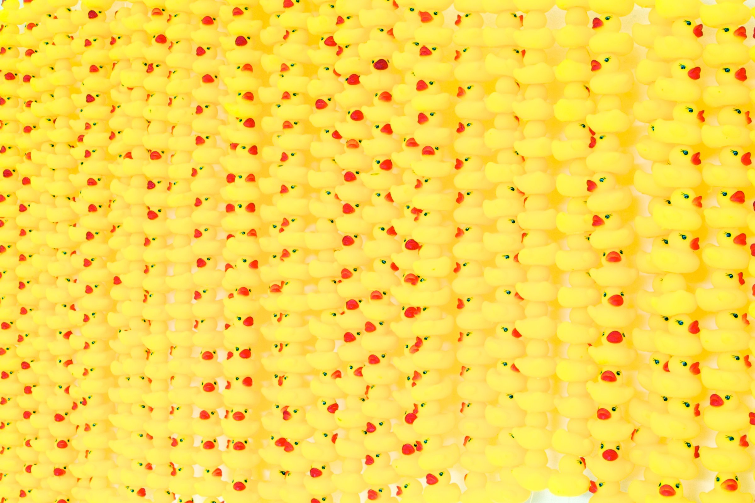 The Great Yellow