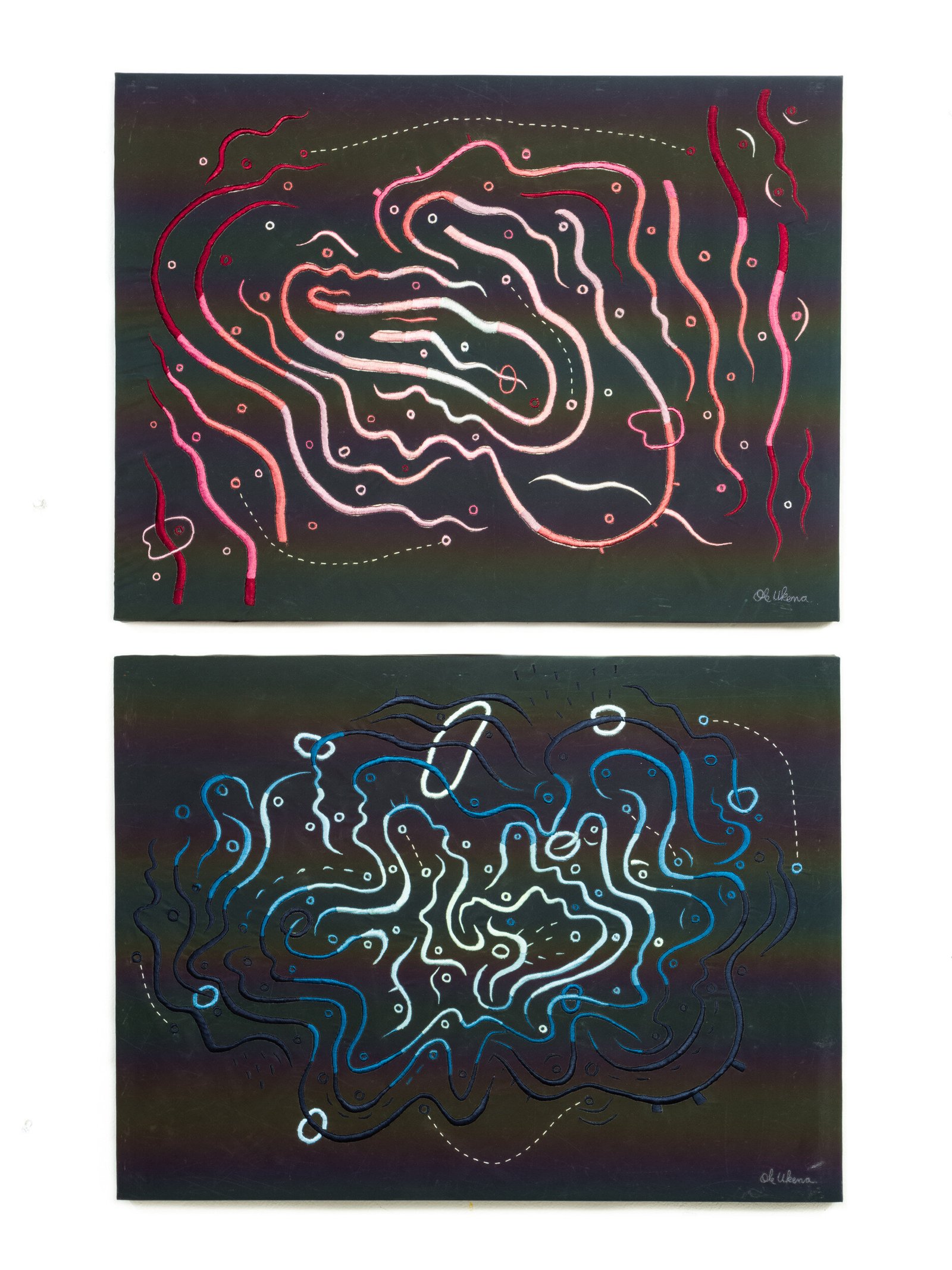 The Imaginary Distance Between Microbes And Stars, detail 3