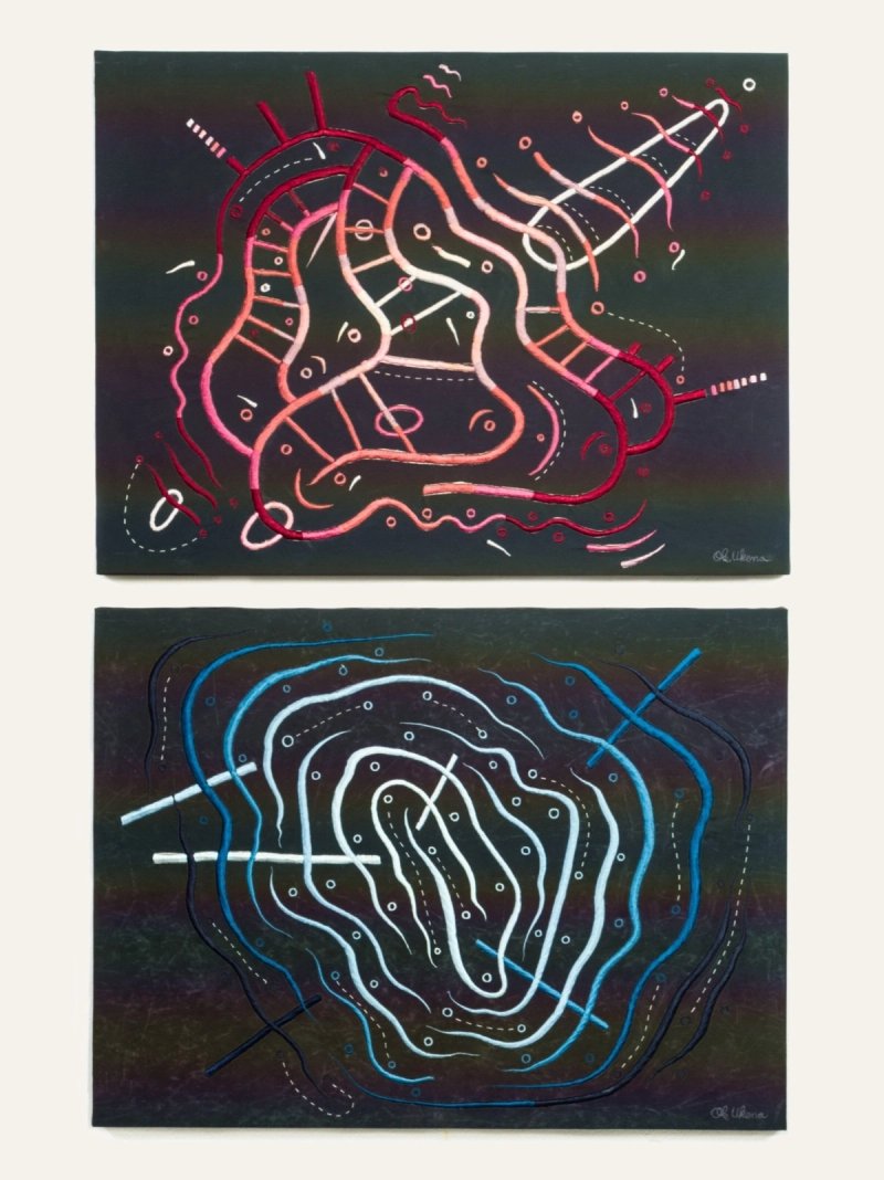 The Interior Thoughtprocess Of A Lake