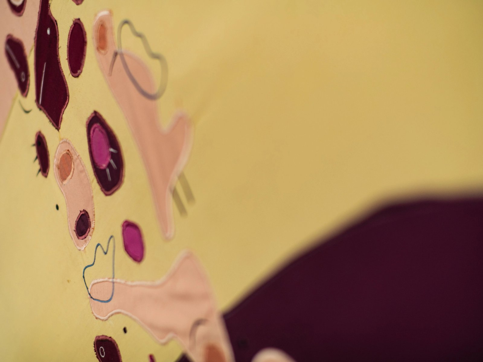 A Gay Meteoroids Cruising Options, detail 12