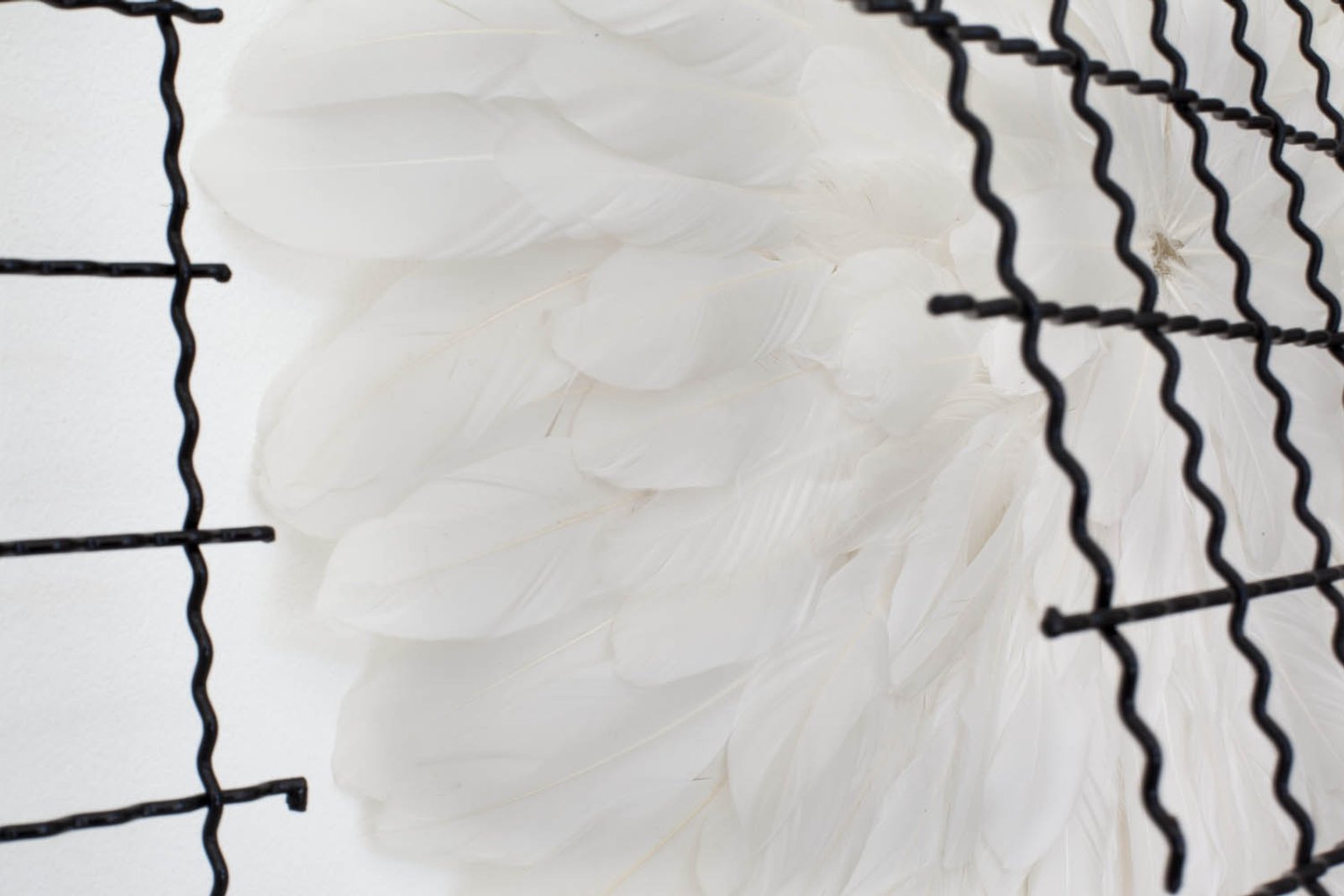 Hope, detail 3