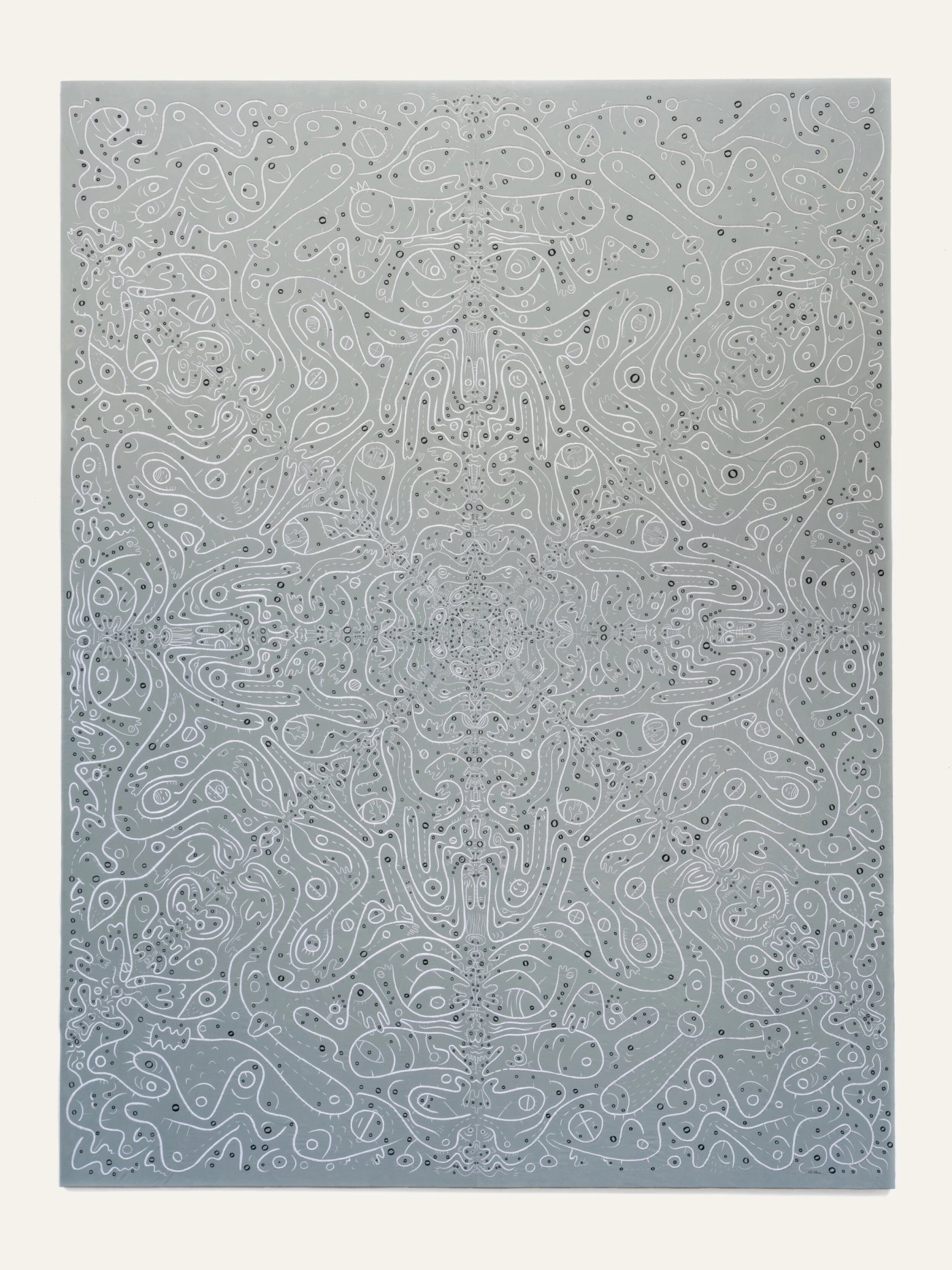 Squashed Sequences, shown to scale on a gallery wall