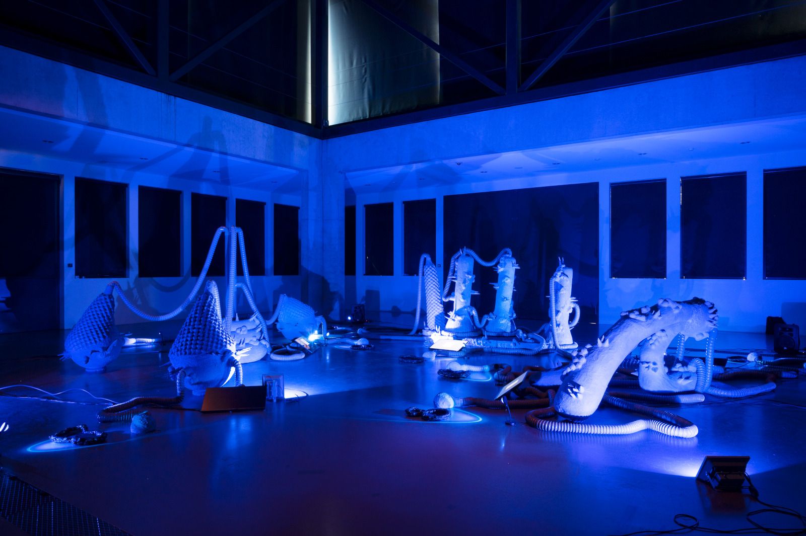 Host, Martin Zambaz, Master en Espace et Communication HEAD – Genève