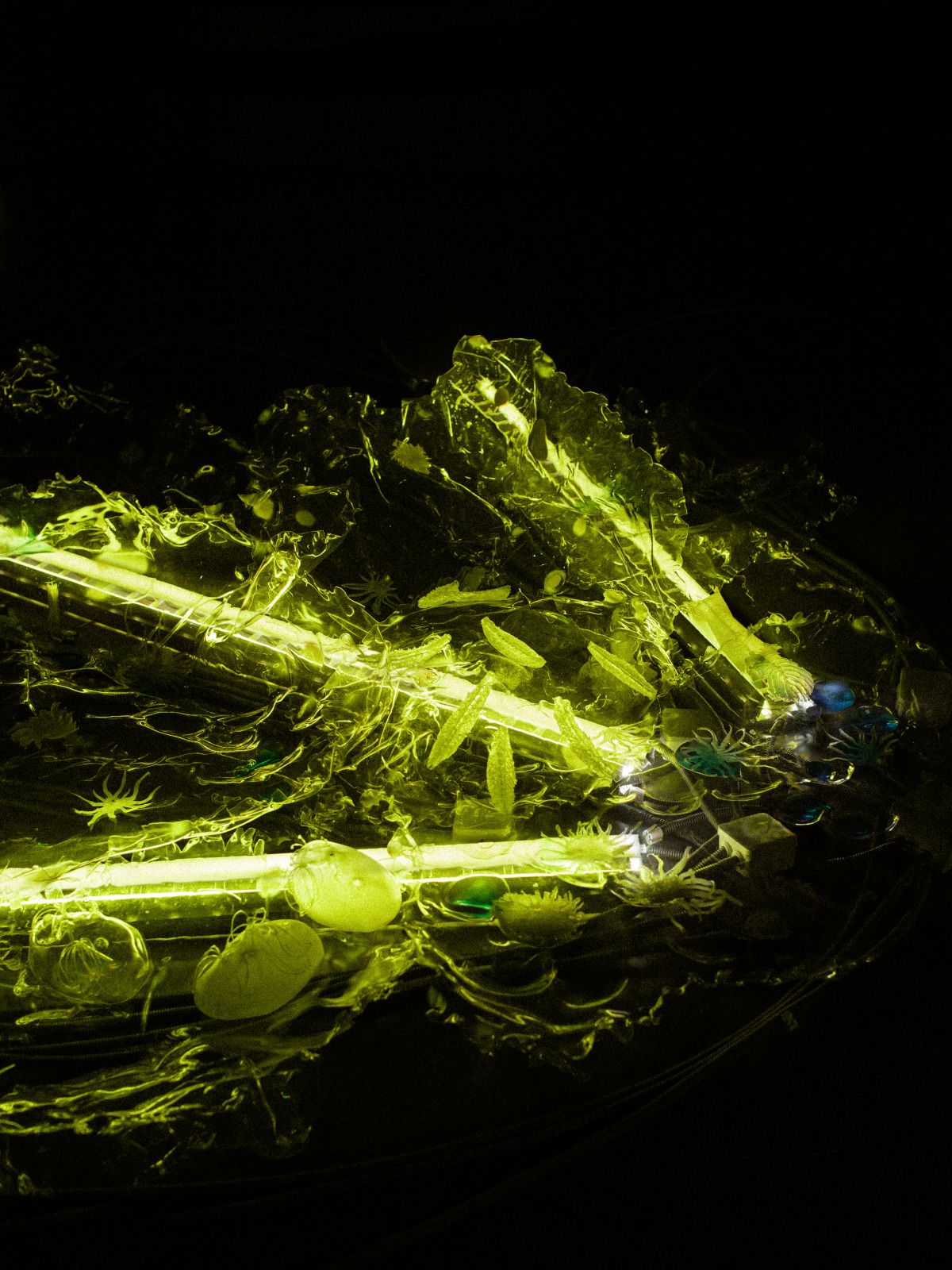 Projet de diplôme Master Espace & communication 2022 de Hsuan Lee, Wetland