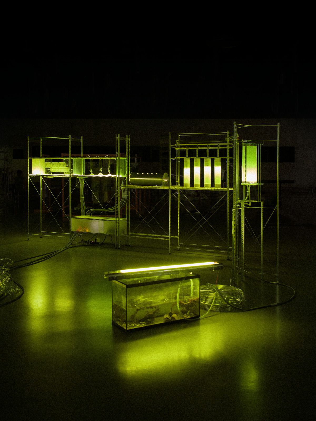 Projet de diplôme Master Espace & communication 2022 de Hsuan Lee, Wetland