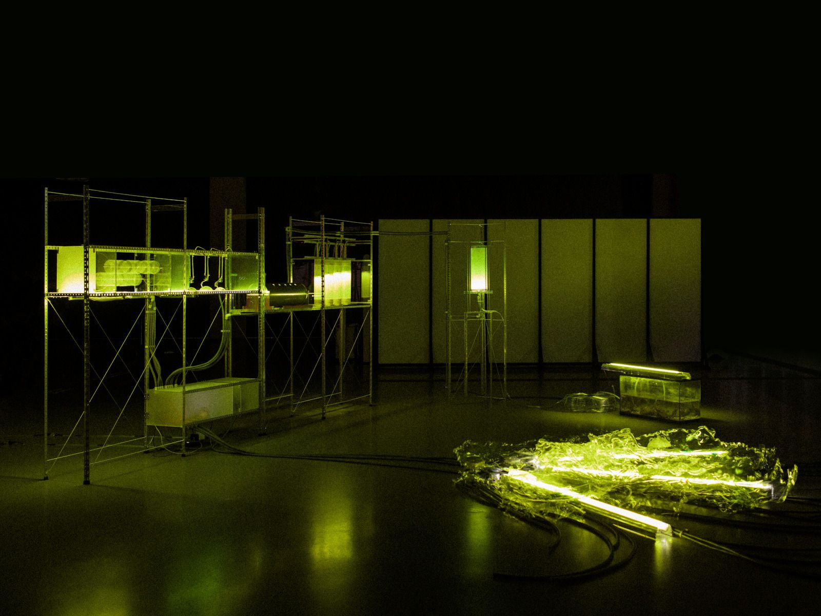 Projet de diplôme Master Espace & communication 2022 de Hsuan Lee, Wetland