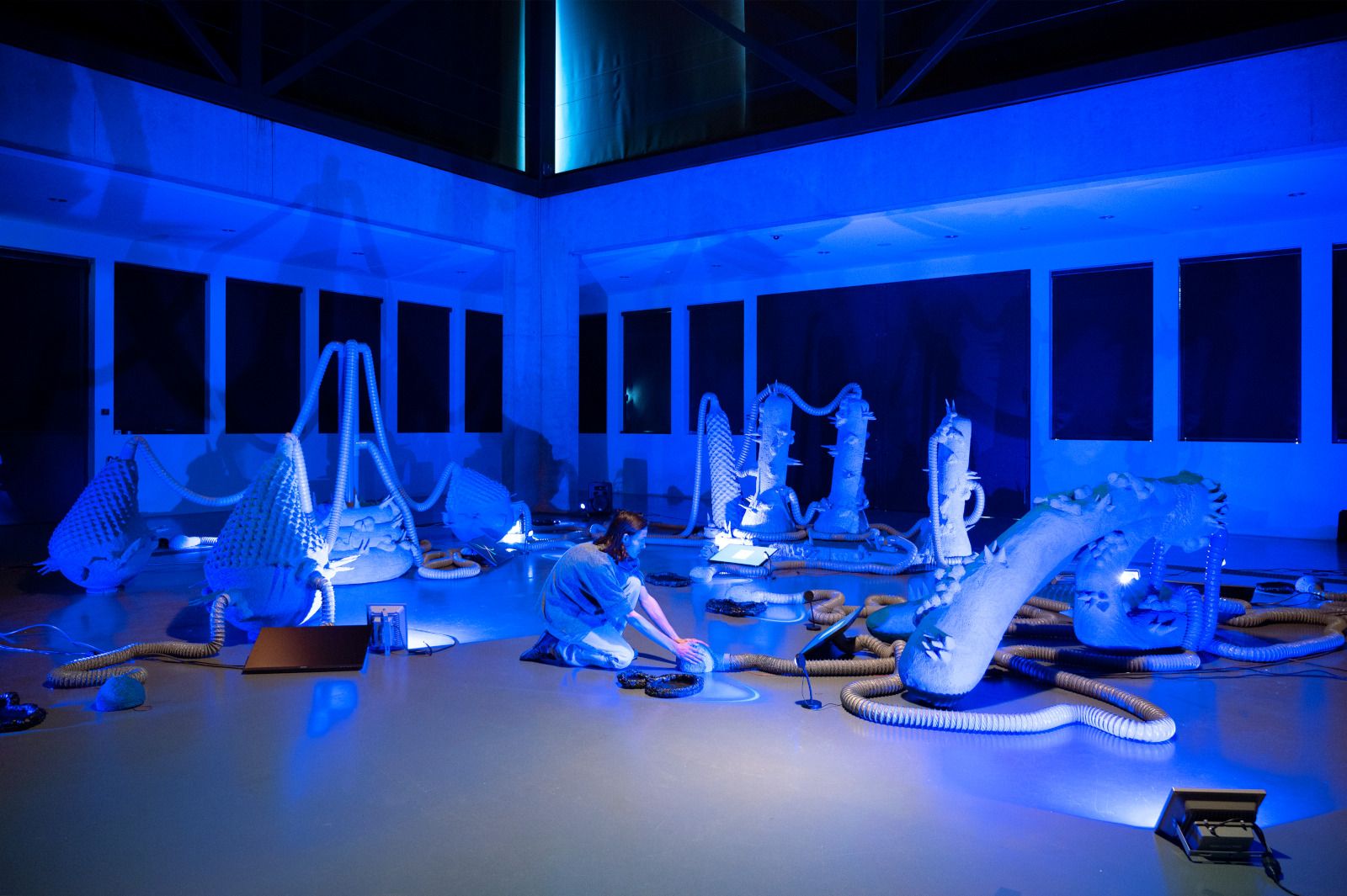 Host, Martin Zambaz, Master en Espace et Communication HEAD – Genève