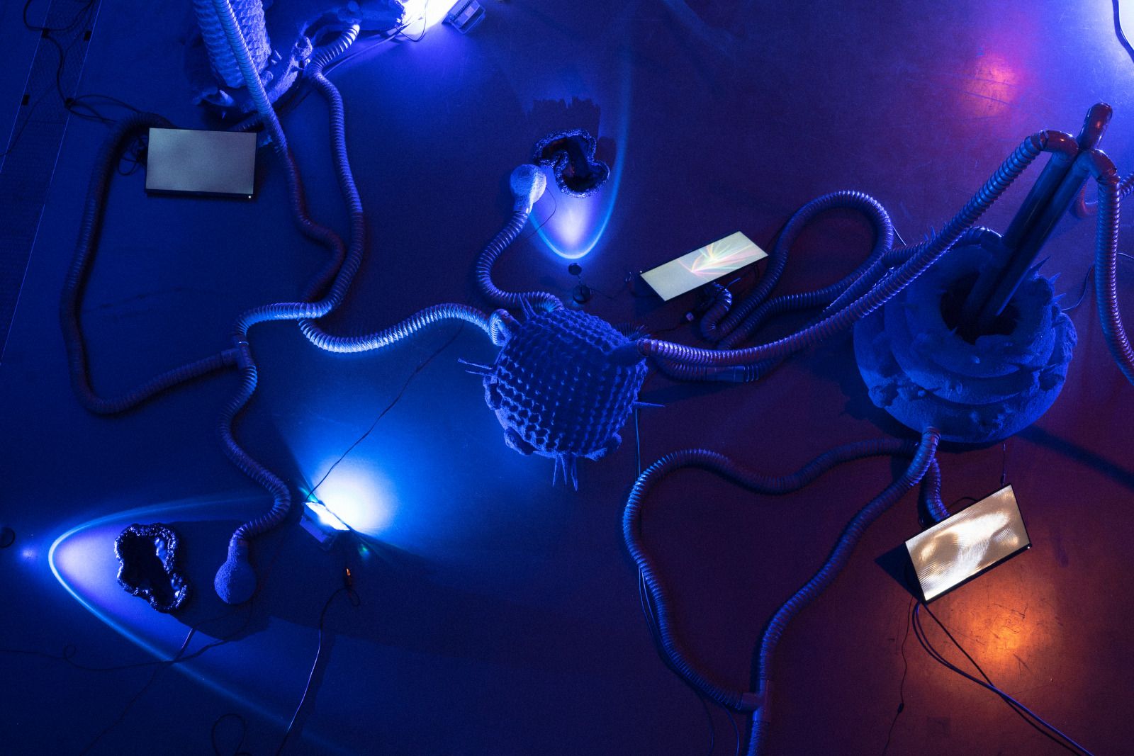 Host, Martin Zambaz, Master en Espace et Communication HEAD – Genève