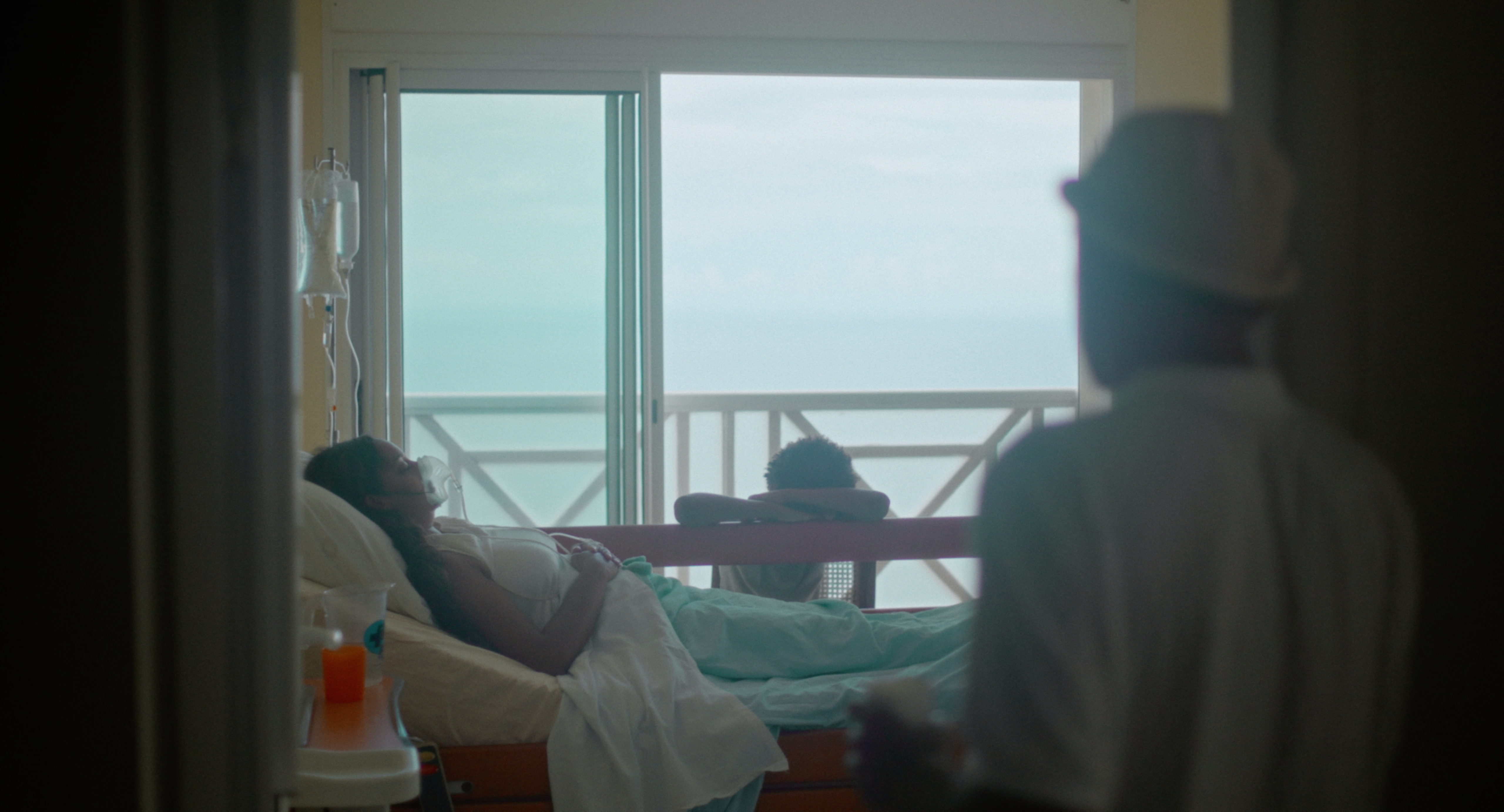 La Vérité sur Alvert, le Dernier Dodo, Nathan Clement, Bachelor of Arts en Cinéma HEAD – Genève