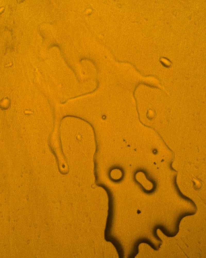 The impact of mental health on sexual health and functioning