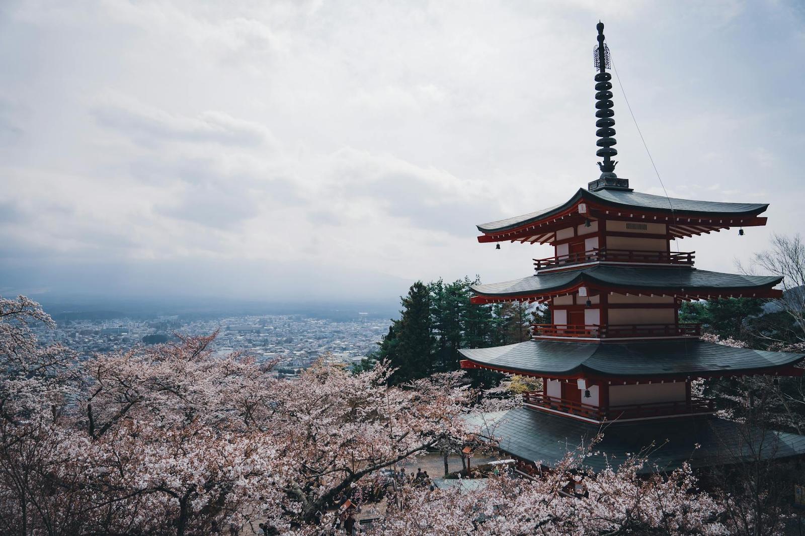A red multi-tiered pagoda overlooking a valley town beneath cherry blossoms