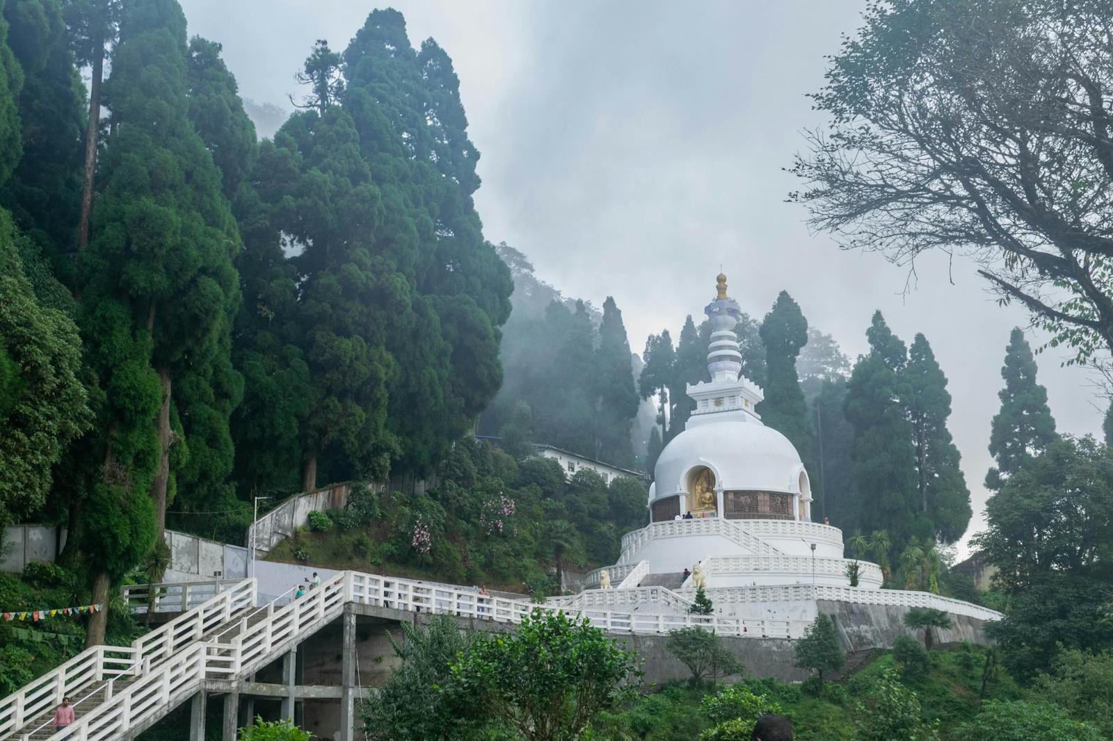 A serene view of the Peace Pagoda amid lush greenery in Darjeeling, India
