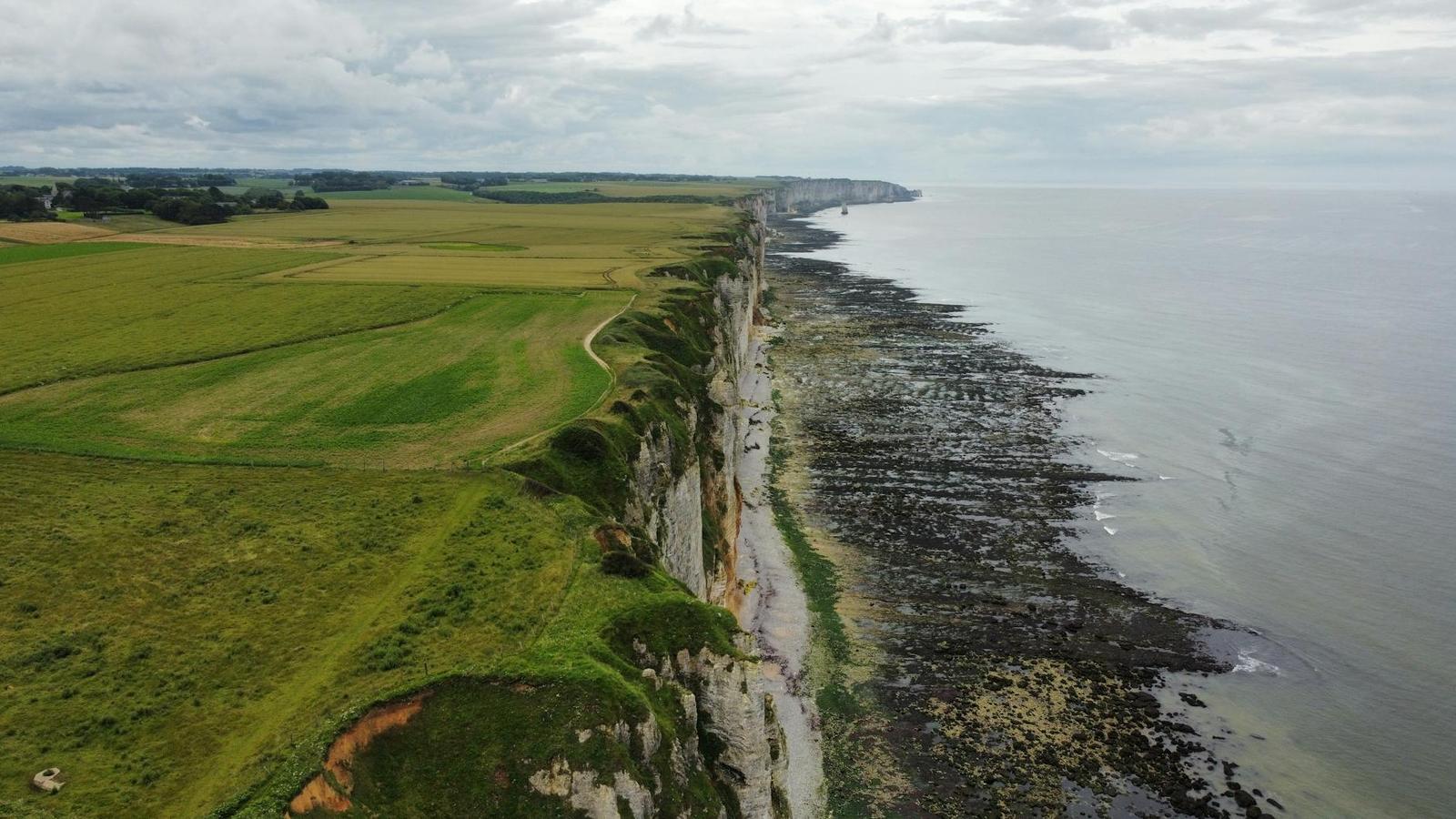 Aerial view of chalk sea cliffs stretching along green farmland to the horizon
