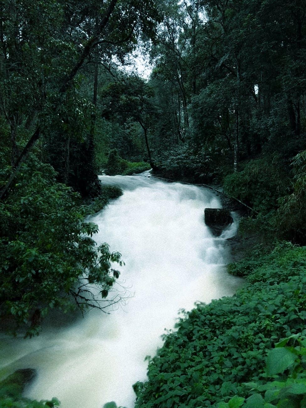 Experience the tranquil beauty of a cascading waterfall surrounded by lush greenery in Munnar, India