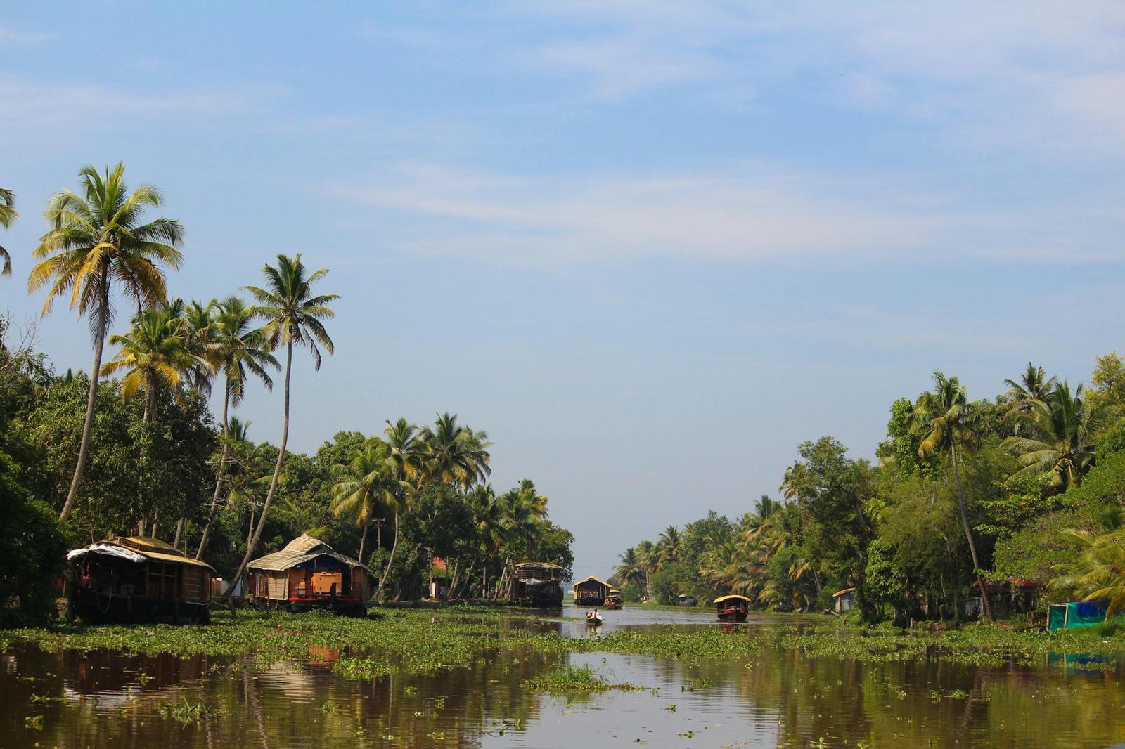 Peaceful view of Kerala backwaters with houseboats, palm trees under clear skies