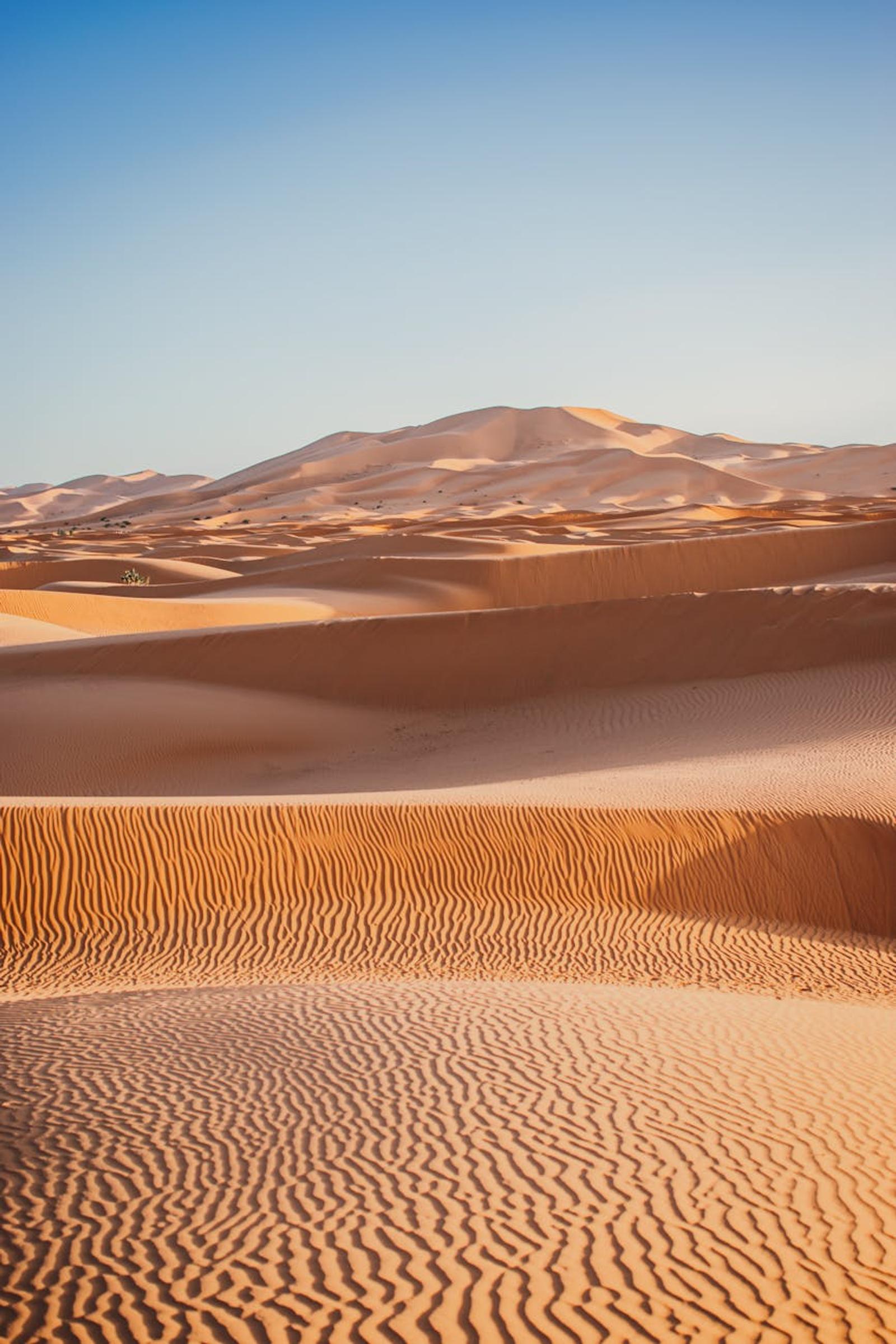 Sahara Merzouga — Morocco