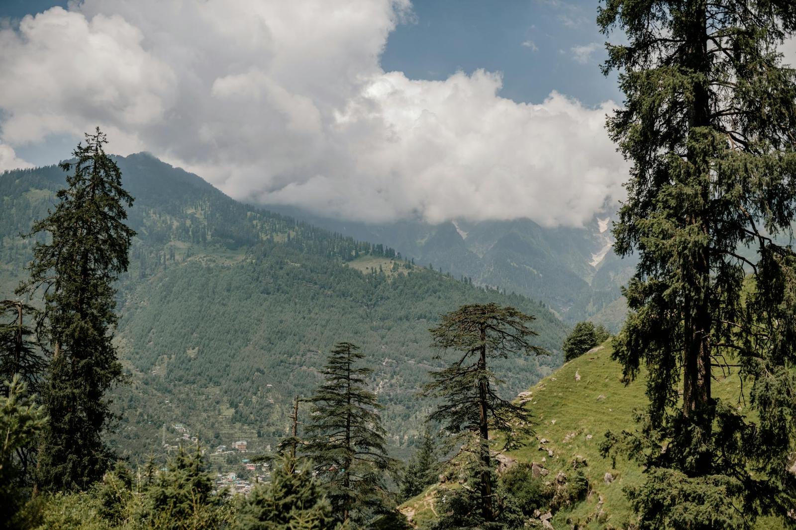 Pine trees framing a misty mountain valley under gathering clouds