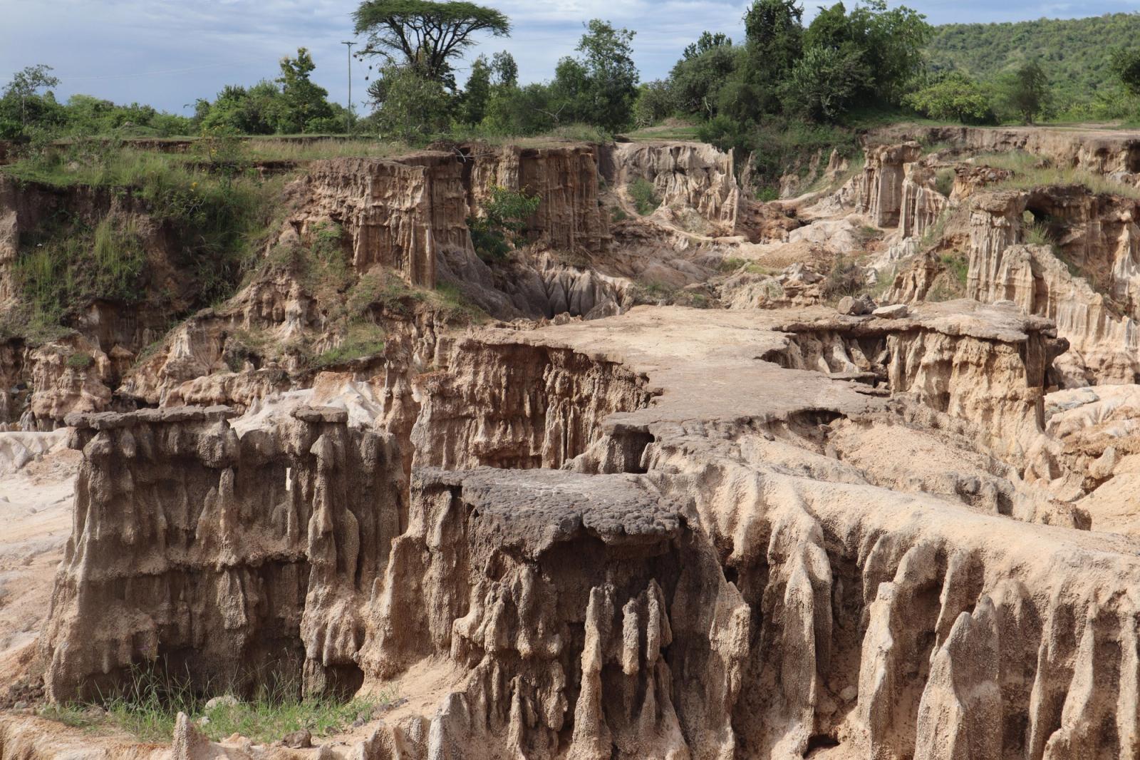 Eroded sandy gullies and rock pillars in a dry landscape