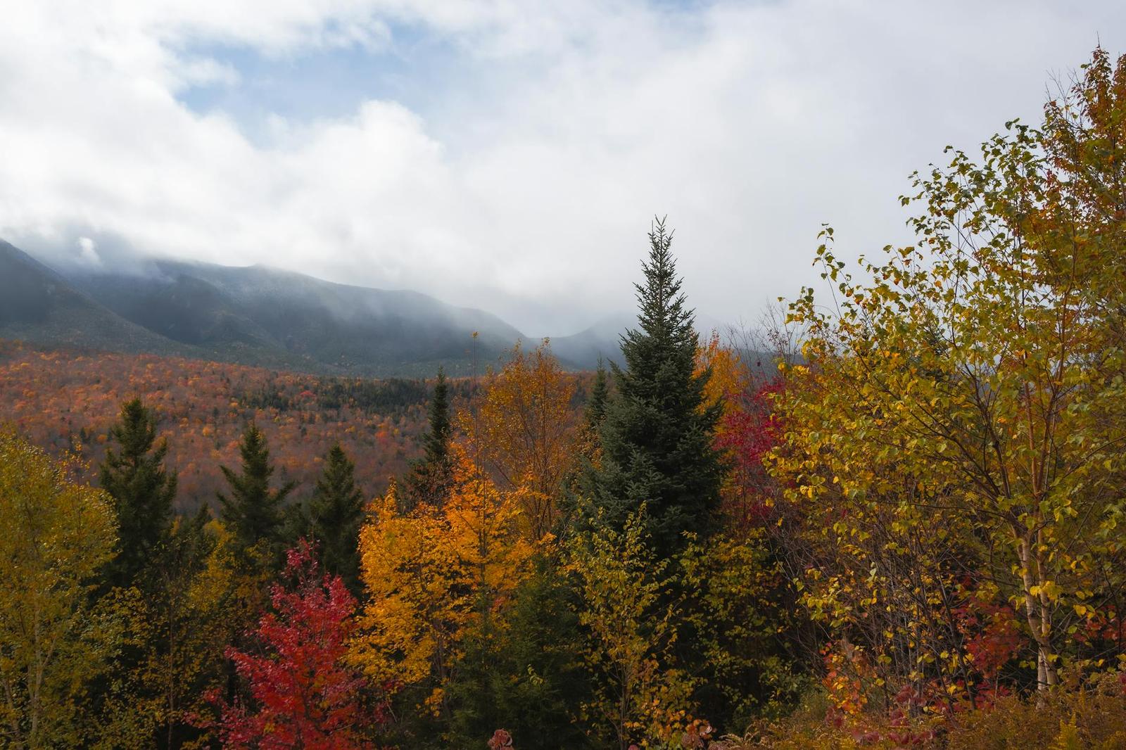White Mountains Foliage, USA