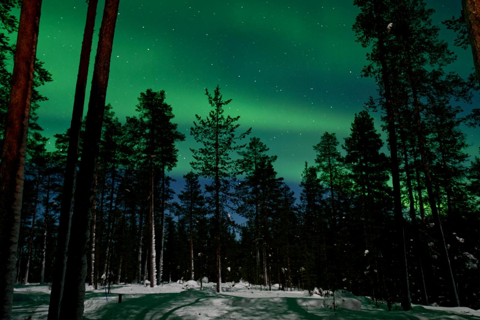 Winter Wonders of Finland & Norway