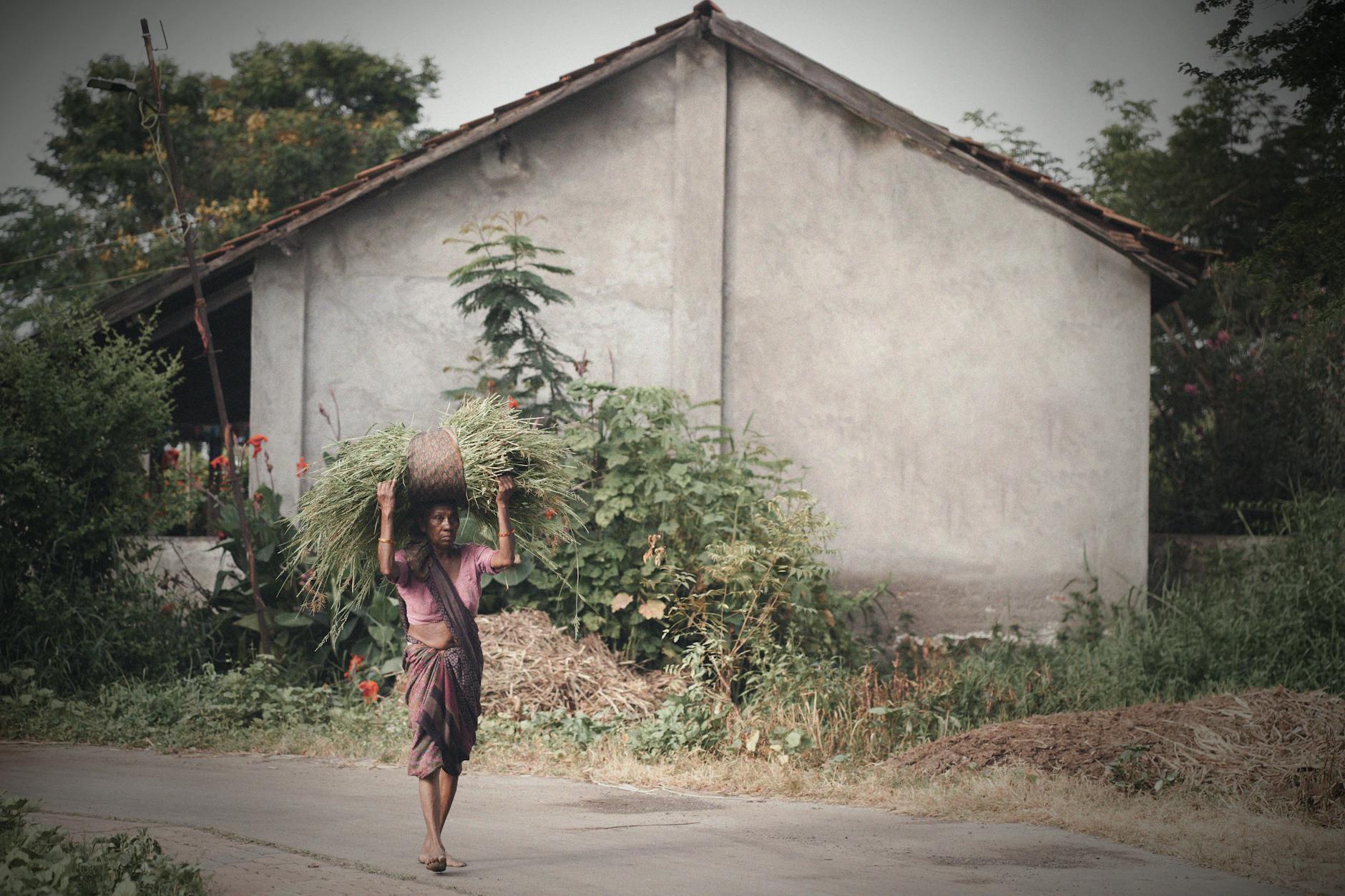 Mawlynnong — Asia'S Cleanest Village, India