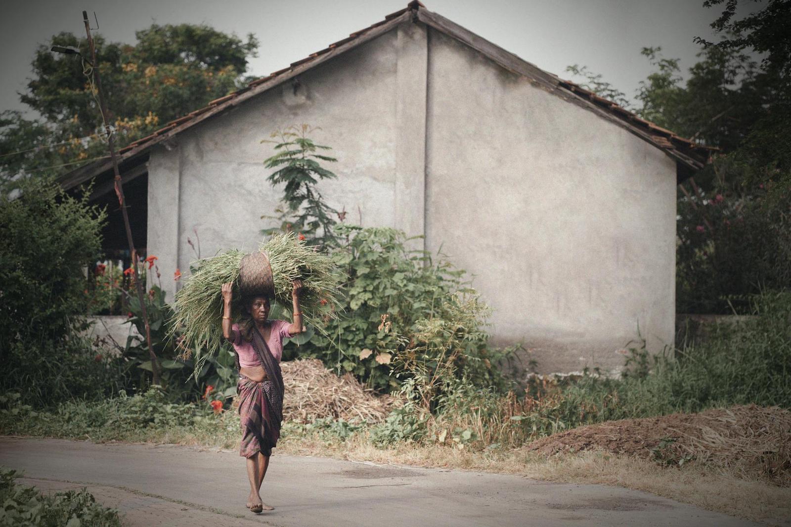 Mawlynnong — Asia'S Cleanest Village, India