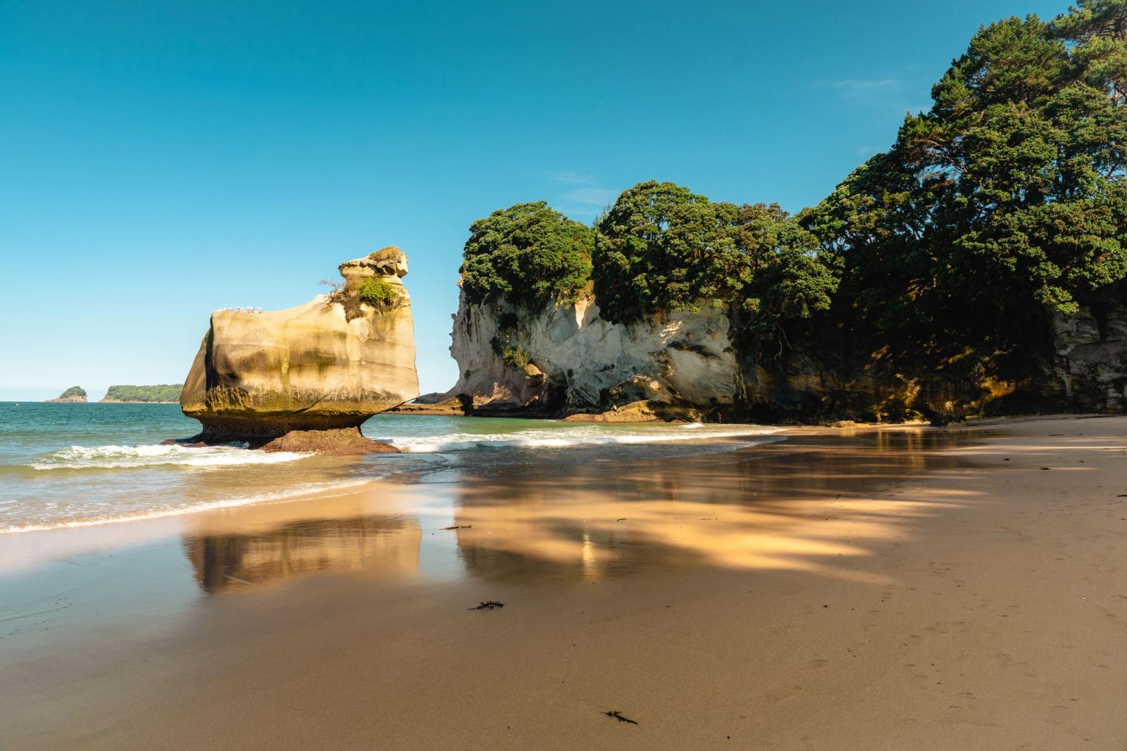 Explore the stunning rock formations and serene beach of Cathedral Cove, New Zealand's iconic marine reserve