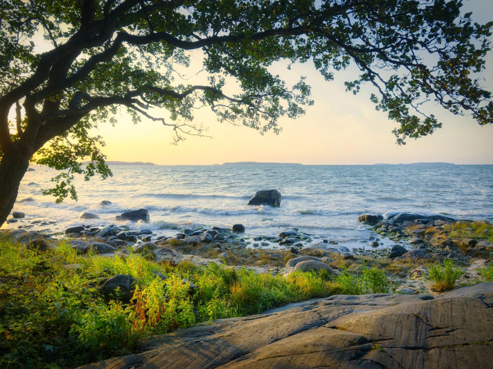 Captivating sunrise over Helsinki coastline with rocky shore and lush greenery