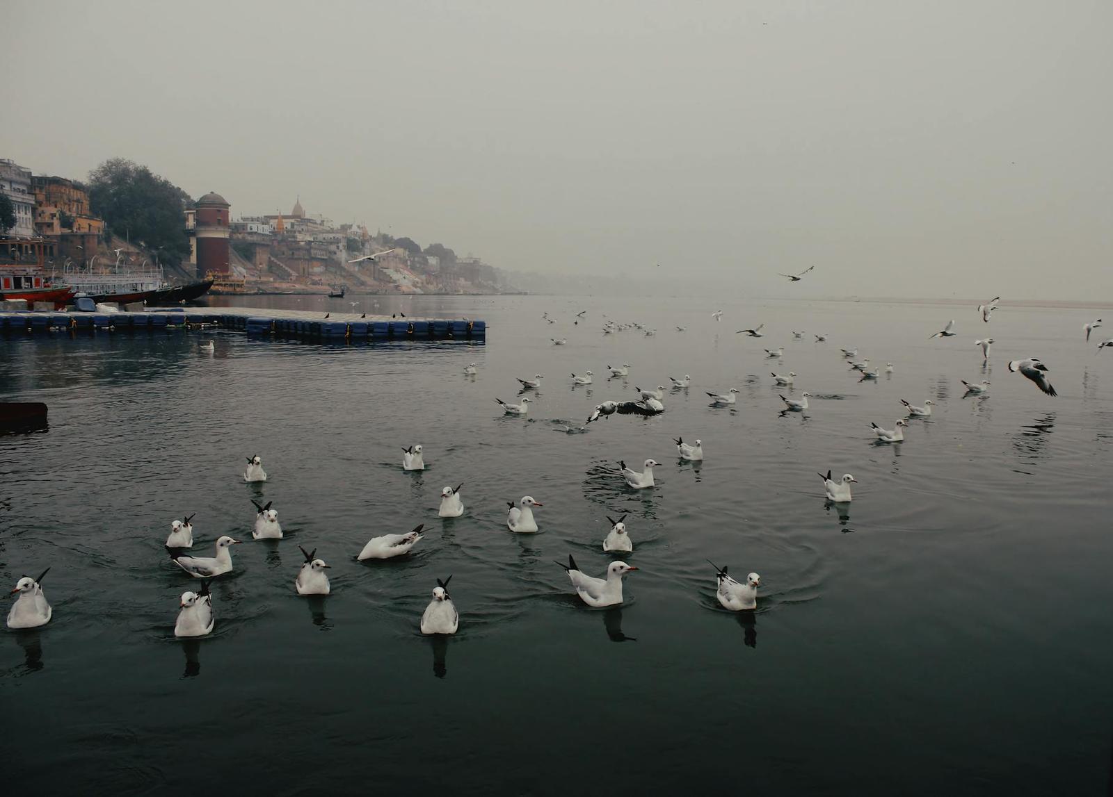 Varanasi on day 3, India / Nepal