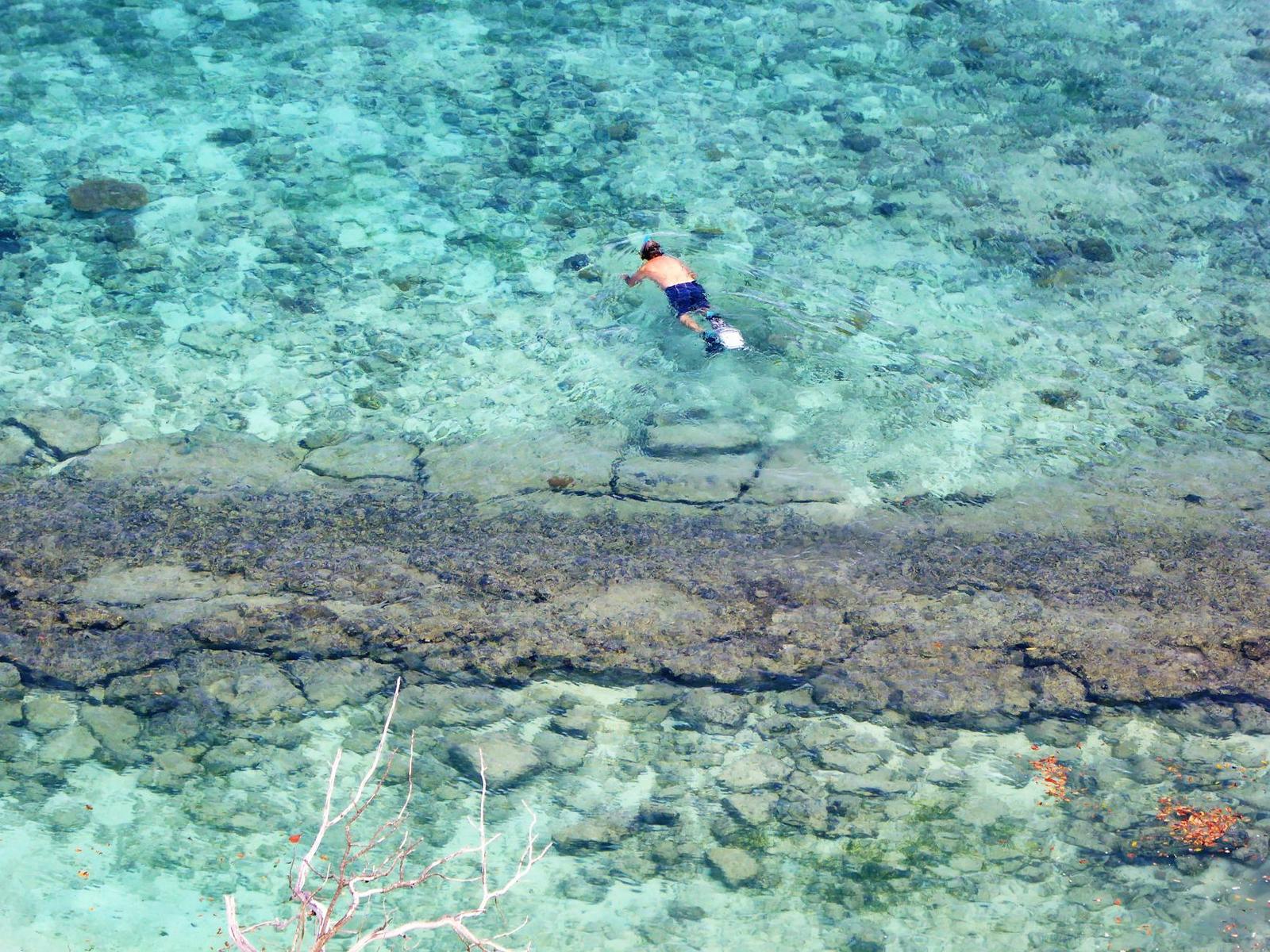 An aerial view of a swimmer gliding over a shallow coral reef