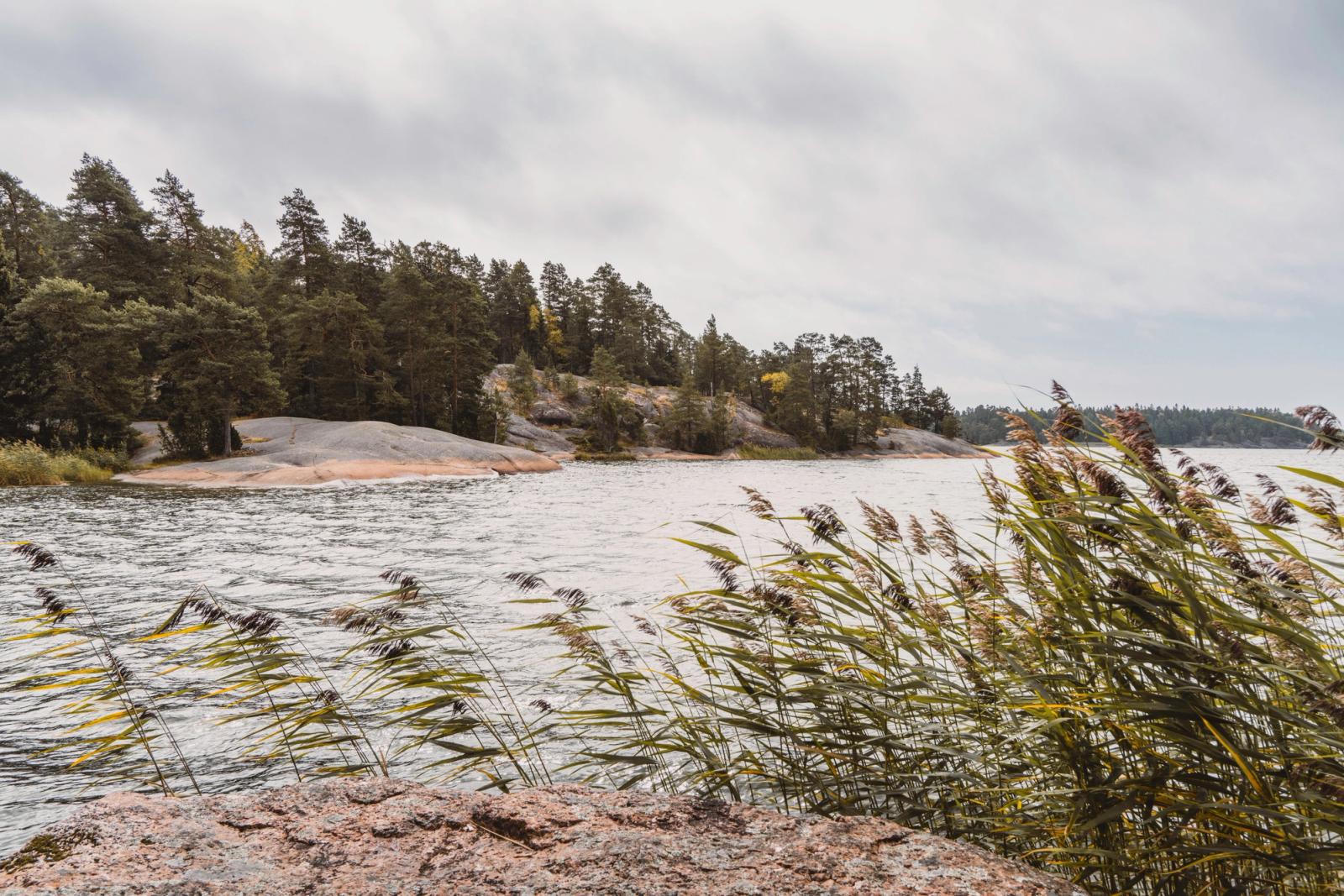 Explore the serene rocky coastline lined with lush trees and gentle waters